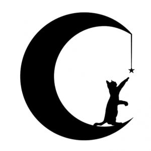 Vinilo, Adhesivo, Pegatinas Personalizadas para exteriores e interioes Diseño Gato y Luna: Decora con Estilo