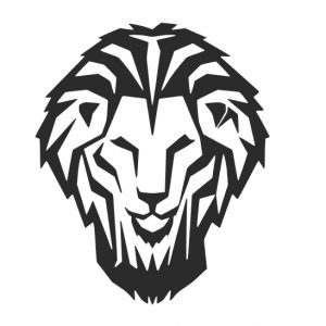 Vinilo, Adhesivo, Pegatinas, Stickers, Furgoneta, Coche, Moto, Leon, Futbol