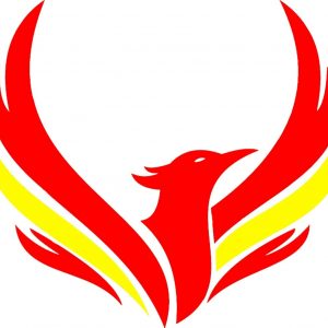 Pegatina Troquelada Fénix – Diseño en Rojo y Amarillo, Sin Fondo – Resistente al Agua y al Sol – Ideal para Laptop, Casco, Moto o Decoración de Pared