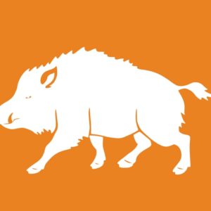 Pegatinas Personalizadas, Troqueladas, Sin Fondo, Para Exteriores, Tema Jabalis, Para Coches Y Todoterrenos
