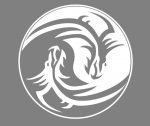 Vinilo, Adhesivo, Pegatinas Personalizadas para moto, coche con Diseño Ying Yang Dragones: Decora tu Moto o coche con Estilo