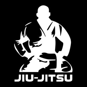 Pegatinas Personalizadas Artes Marciales, Diseños Únicos, Vinilos de Alta Calidad, Varios Tamaños