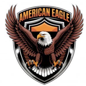 Pegatinas Águila Americana con Escudo Tintas Ecosolventes Resistentes UV Agua para Coche Moto Laptop Casco Ideal Moteros y Aficionados